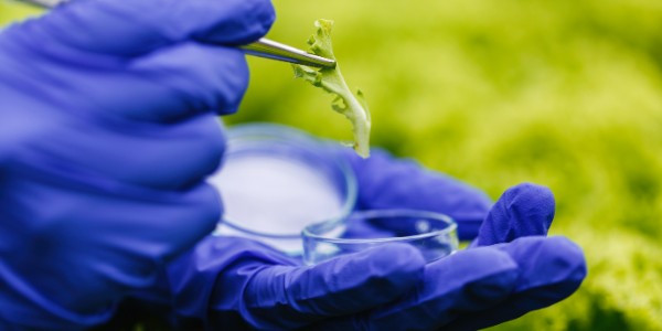 300x600_biotecnologia